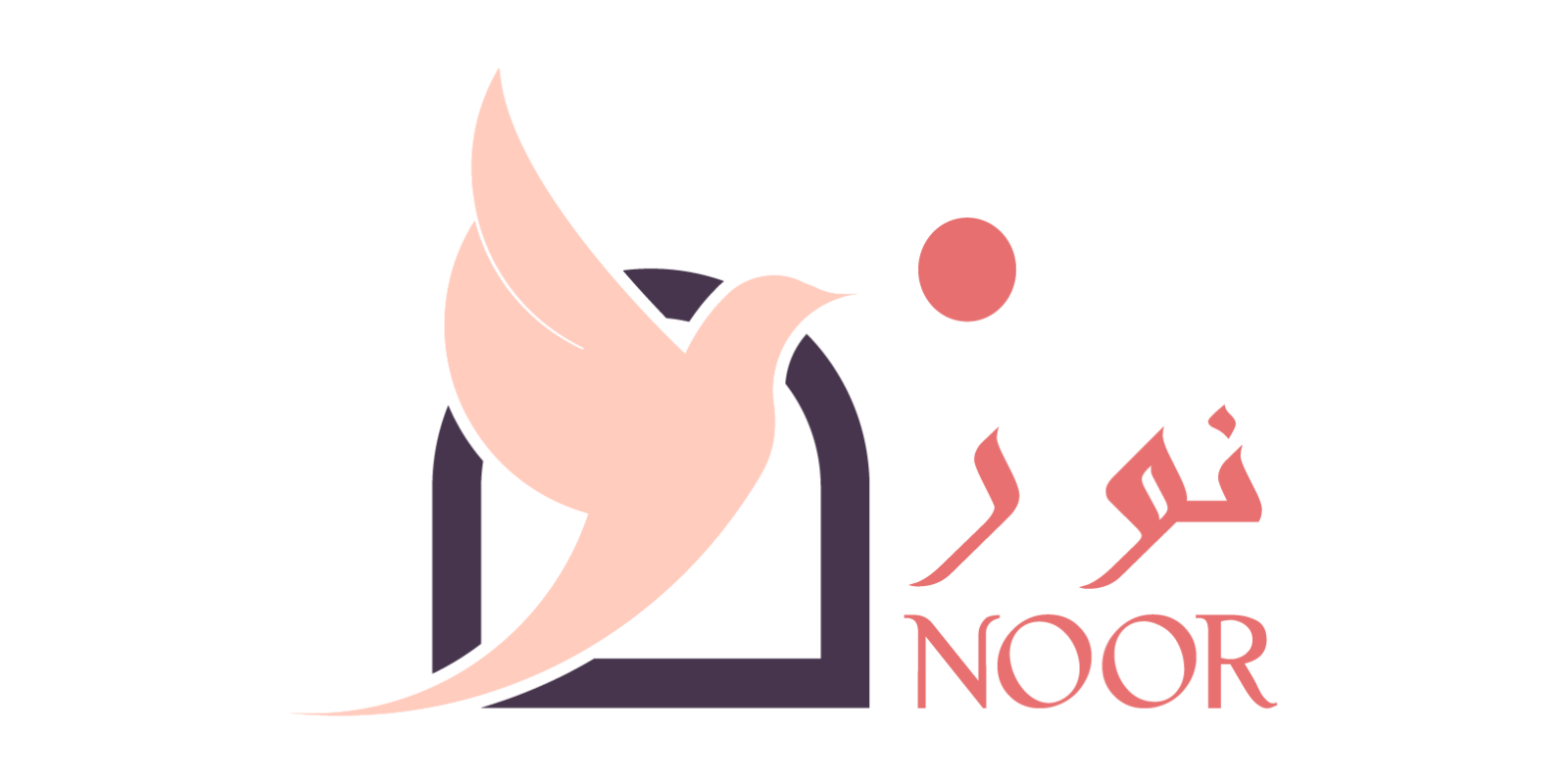 Project Noor